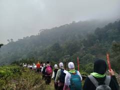 Kegiatan YLT1-2